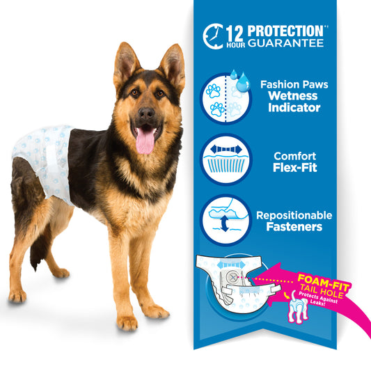 Four Paws Wee-Wee Disposable Dog Diapers Large / X-Large - 12 pack - The Pet Source