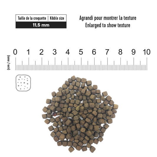 1st Choice Nutrition Dental Health Chicken Dry Adult Cat Food - 1.8kg - The Pet Source