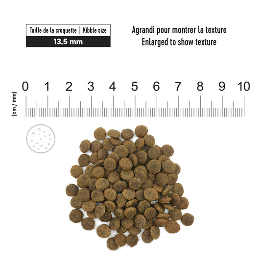 1st Choice Nutrition Hypoallergenic Cod Dry Adult Dog Food - 2kg - The Pet Source