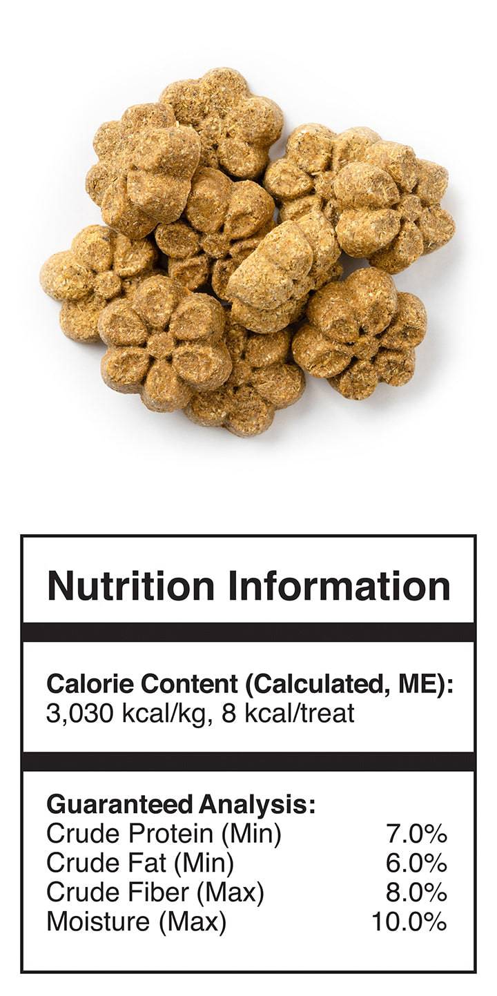 Fruitables Baked Pumpkin & Blueberry Dog Treats - 12 oz - The Pet Source