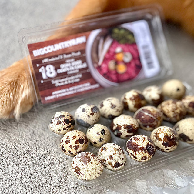 Big Country Raw Frozen Quail Eggs - 18pk - The Pet Source