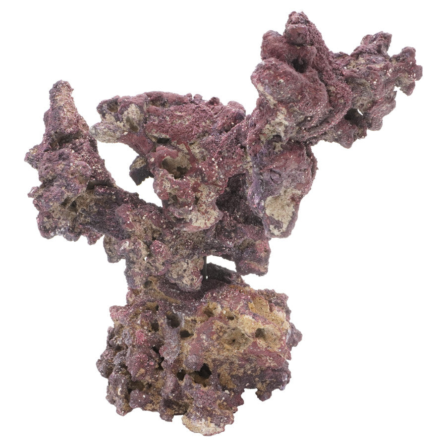CaribSea LifeRock Nano Tree - The Pet Source
