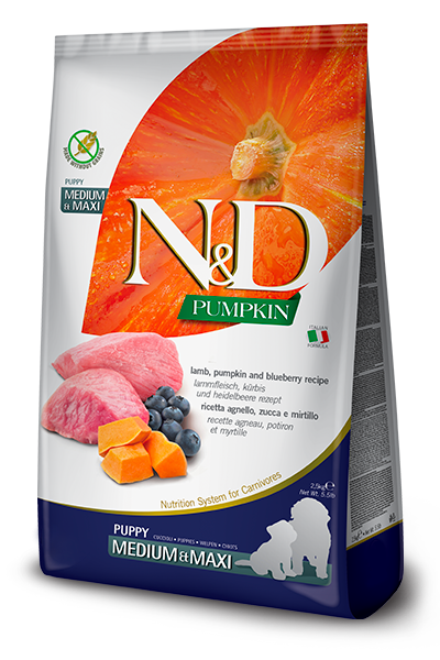 Farmina N&D Pumpkin Grain Free Lamb & Blueberry Puppy Medium & Maxi Dog Food - 26.4lb - The Pet Source