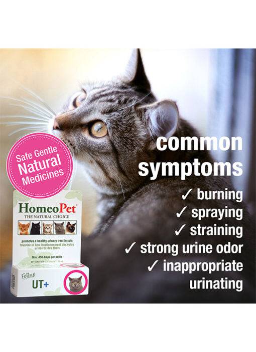 HomeoPet Feline UT+ - 15ml - The Pet Source