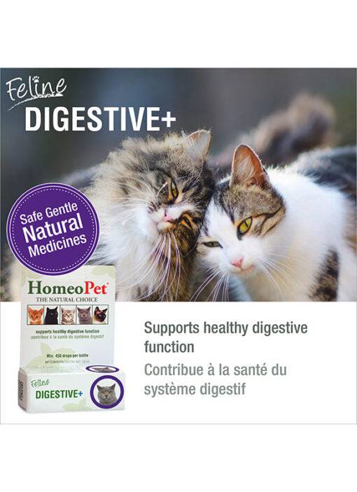 HomeoPet Feline Digestive+ - 15ml - The Pet Source