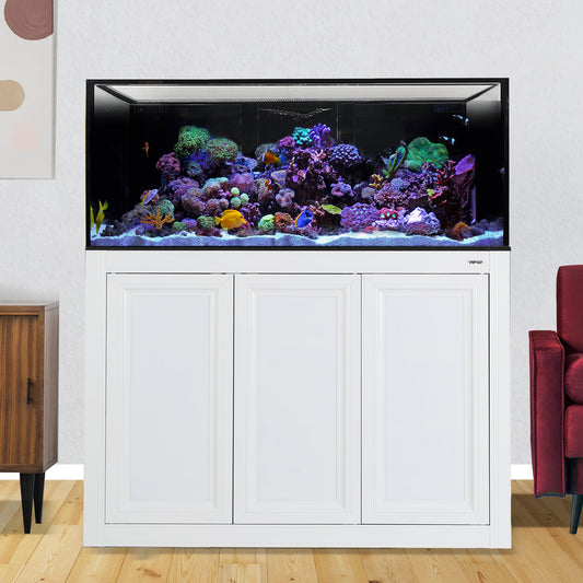 Innovative Marine INT 100 Gallon Complete Reef System - White - The Pet Source