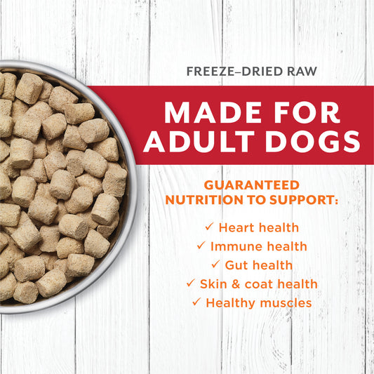 Instinct Raw Longevity Freeze Dried Bites Adult Dog Food Beef - 16oz - The Pet Source