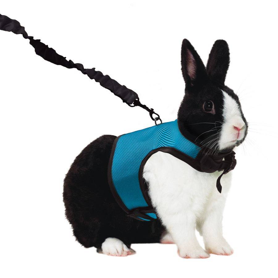 Kaytee Comfort Harness & Stretchy Leash - Extra Large - The Pet Source