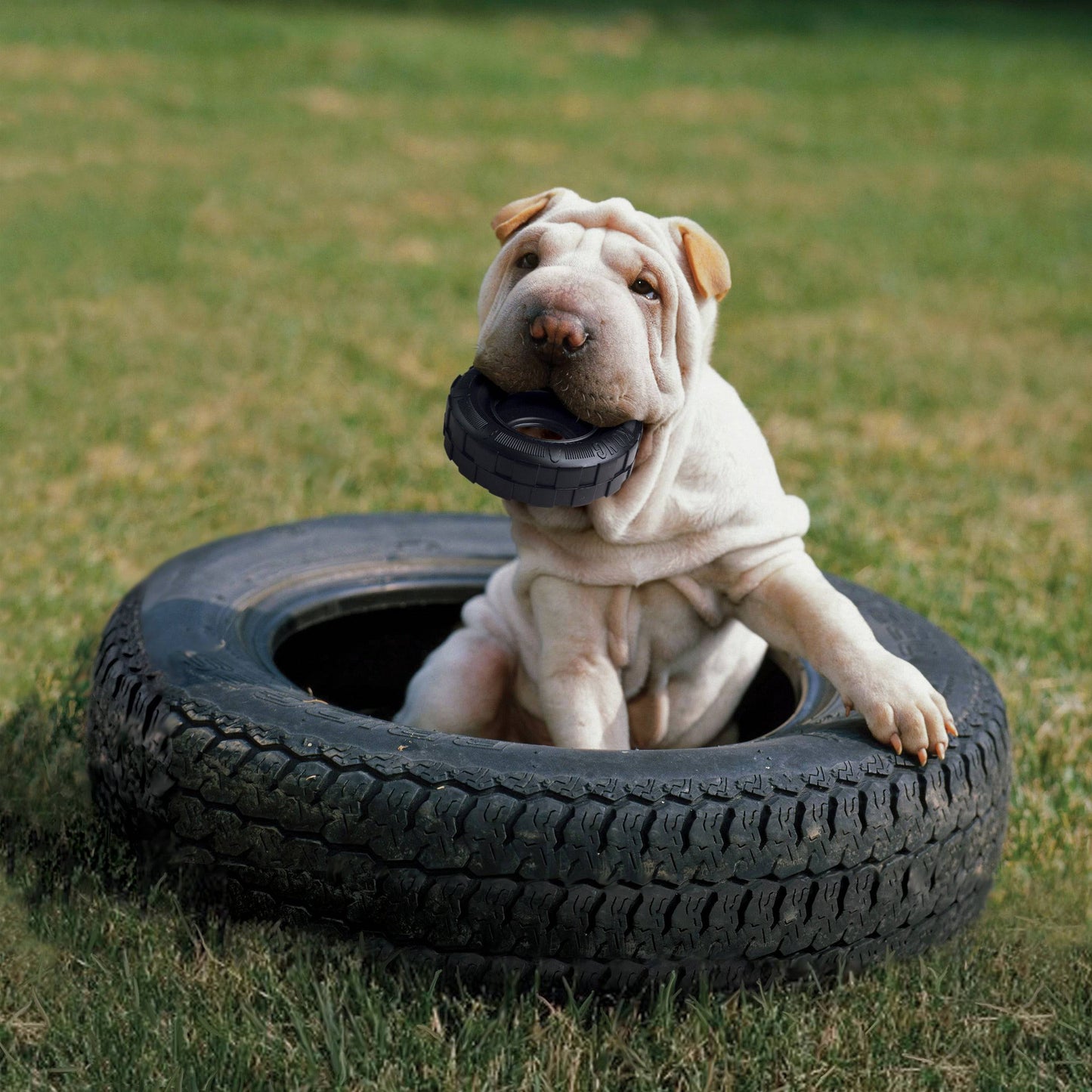 KONG Extreme Tires - Medium/Large - The Pet Source