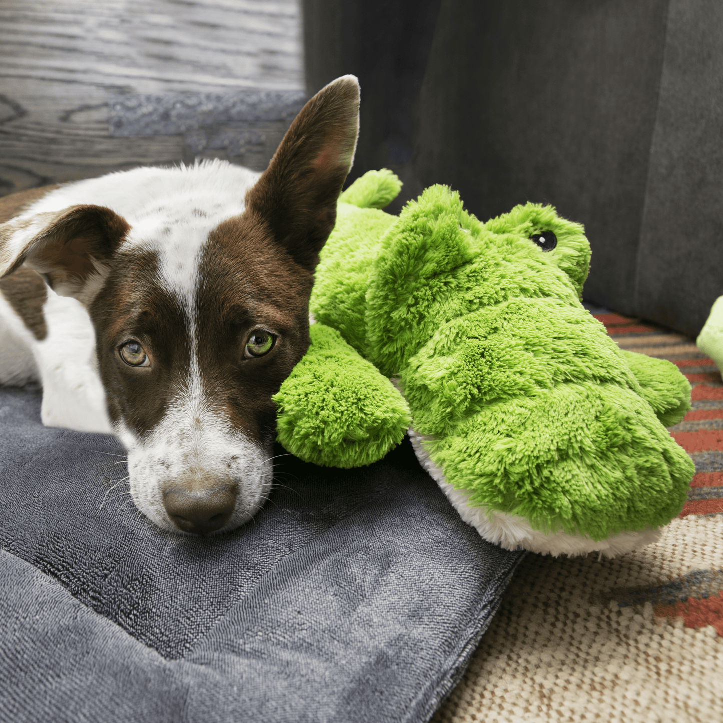 Kong Cozie Jumbo Ali - The Pet Source