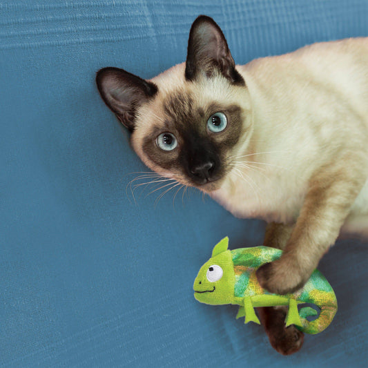 KONG Refillables Chameleon Cat Toy - The Pet Source