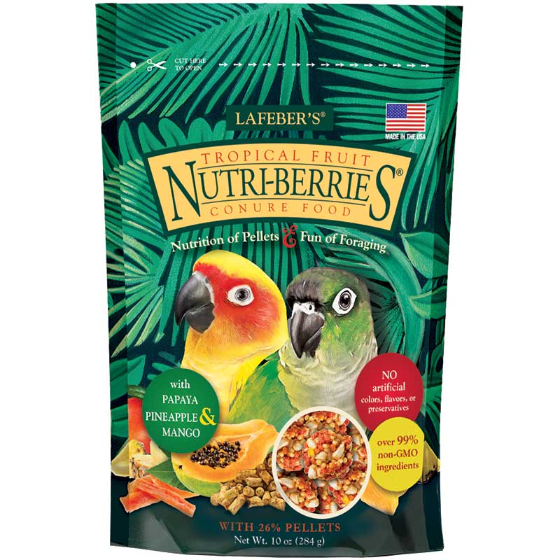 Lafeber Tropical Fruit Nutri-Berries for Conures - 10oz - The Pet Source