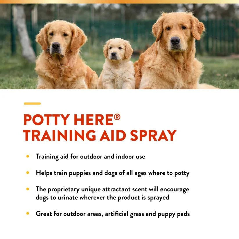 NaturVet Potty Here Training Aid Spray - 8oz - The Pet Source