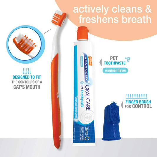 Nylabone Advanced Oral Care Cat Dental Kit - The Pet Source