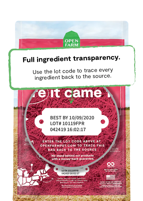 Open Farm Wild Caught Salmon & Ancient Grains Dry Dog Food - 22lb - The Pet Source