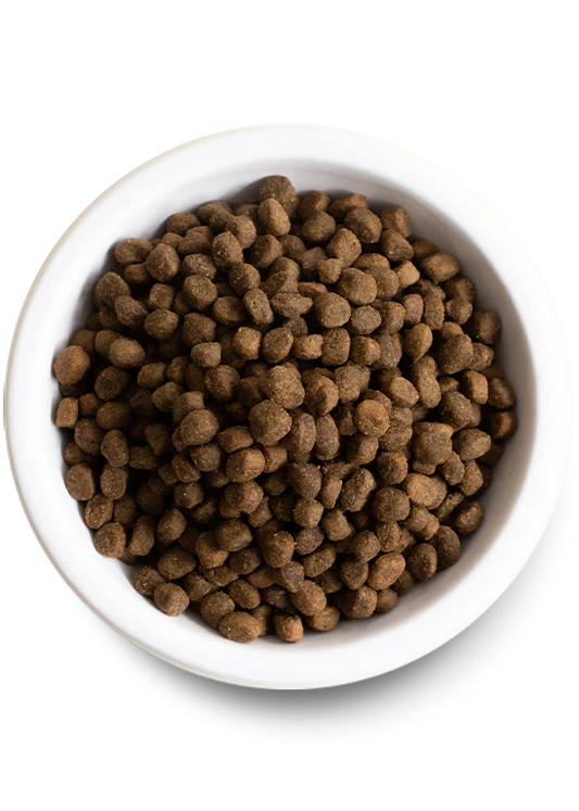 Open Farm Wild Caught Salmon Grain Free Dry Dog Food - 22lb - The Pet Source