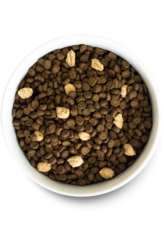 Open Farm Wild Ocean Grain Free RawMix Dry Cat Food - 8lb - The Pet Source