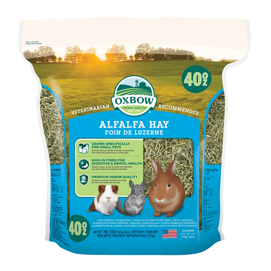 Oxbow Alfalfa - 40oz - The Pet Source