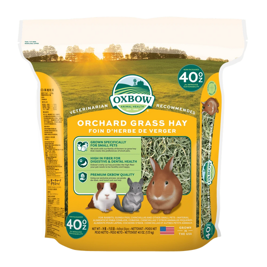 Oxbow Orchard Grass Hay - 40oz - The Pet Source