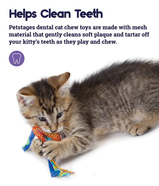 Petstages Catnip Dental Health Chew - 2 Pack - The Pet Source