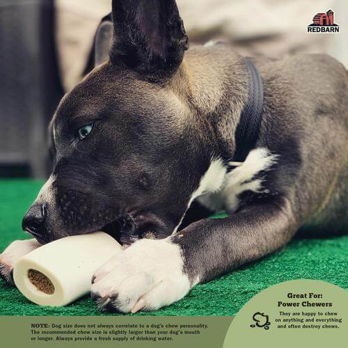 Redbarn Filled Bone Peanut Butter Dog Treat - Large - 1pc - The Pet Source