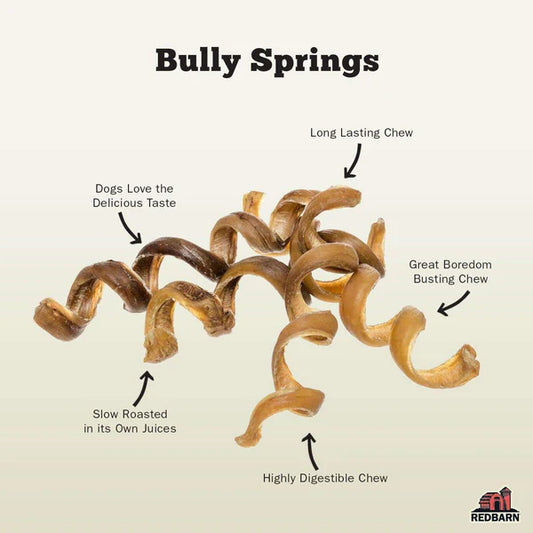 Redbarn Bully Spring Dog Chew - 1pc - The Pet Source