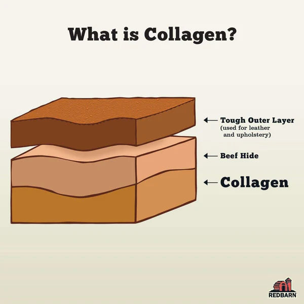 Redbarn Collagen Braid - Large - 1pc - The Pet Source