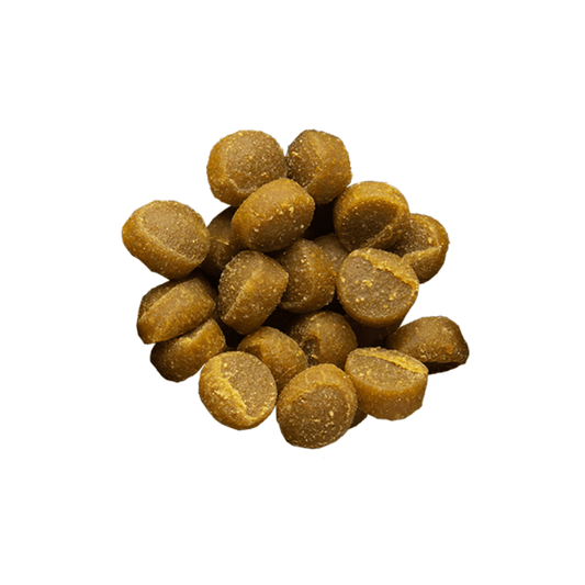 Zuke’s Mini Naturals Salmon Recipe Dog Treats - 1 lb - The Pet Source