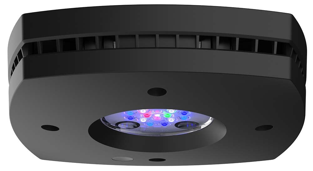 AquaIllumination AI Prime 16HD LED Light Fixture - Black - The Pet Source