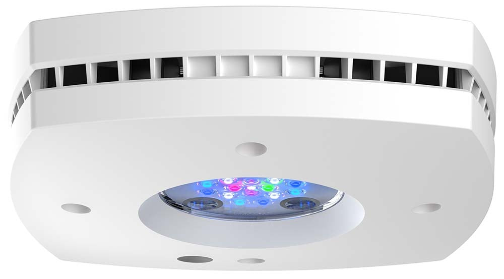 AquaIllumination AI Prime 16HD LED Light Fixture - White - The Pet Source