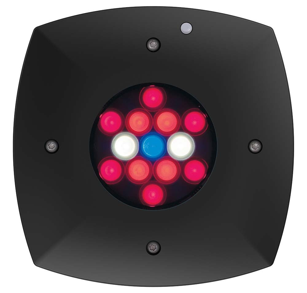 AquaIllumination Prime Fuge Black Refugium LED Light Gen 2 - The Pet Source
