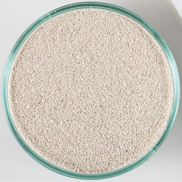 CaribSea Arag-Alive Bahamas Oolite Live Sand - 20lb - The Pet Source