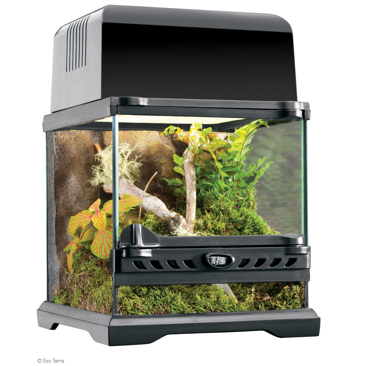 Exo Terra Nano Wide Terrarium - 20 x 20 x 20cm, 8in x 8in x 8in - The Pet Source