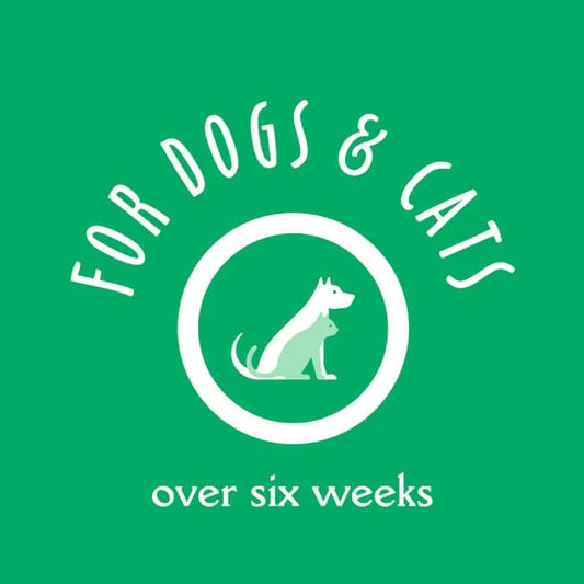 earthbath Treatment Balm For Cats & Dogs - 2.2oz - The Pet Source