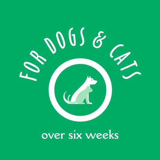 earthbath Grooming Wipes - Green Tea & Awapuhi - 100 Wipes - The Pet Source