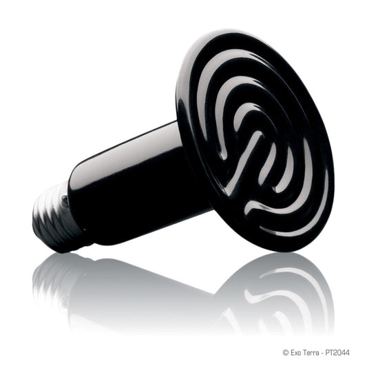 Exo Terra Ceramic Heater - 60 W - The Pet Source