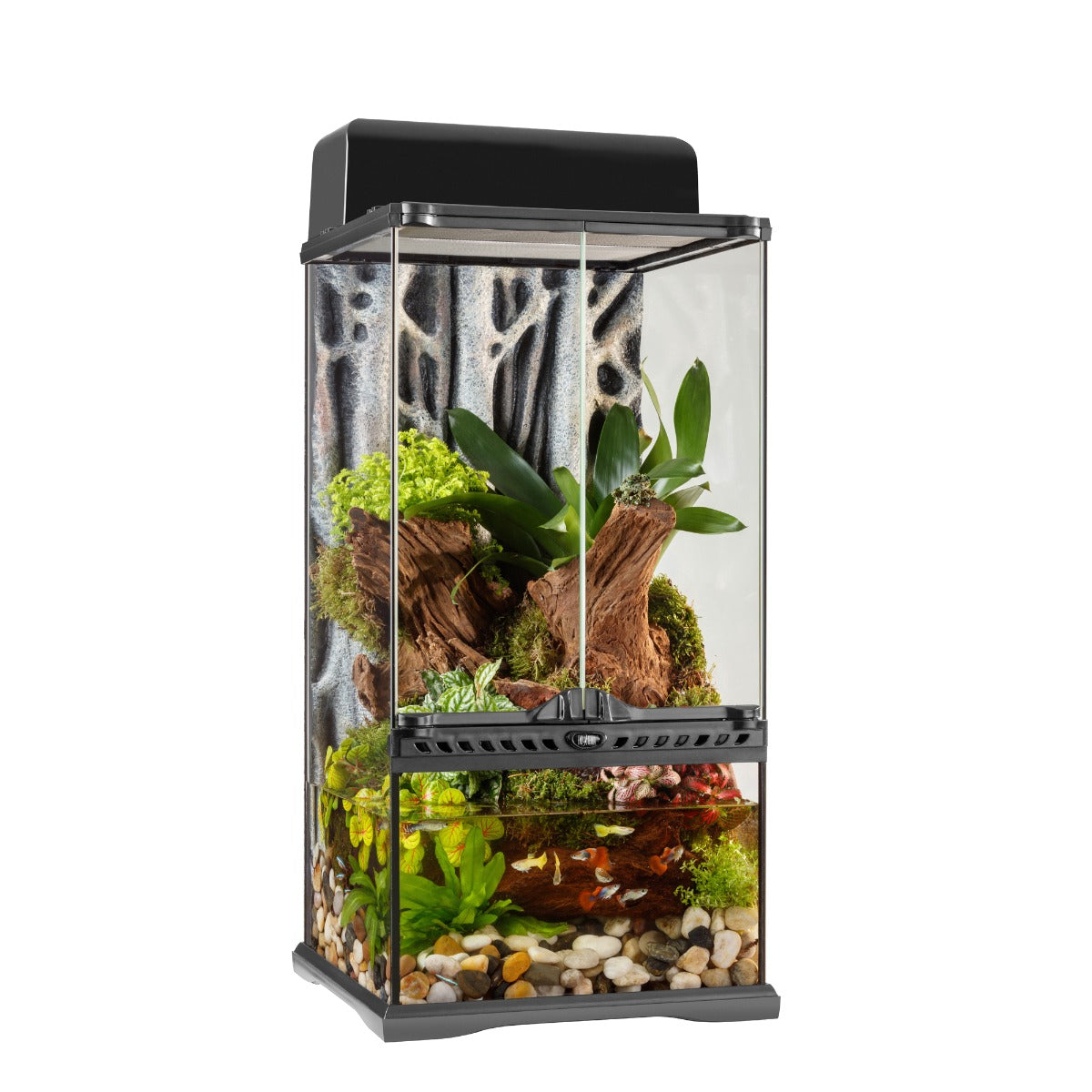 Exo Terra Advanced Paludarium & Rainforest Terrarium - Mini X-Tall - 30 W x 30 D x 60 H cm (12” x 12”x 24”) - The Pet Source