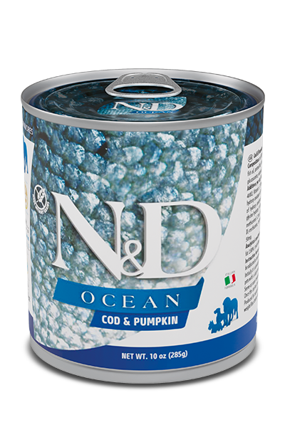 Farmina N&D Ocean Cod & Pumpkin Adult Wet Dog Food - 285g - The Pet Source