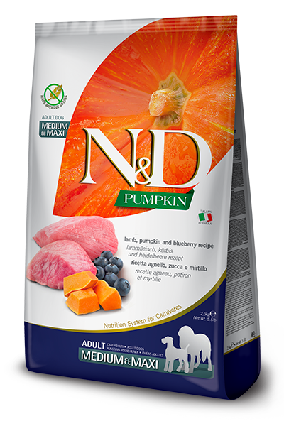Farmina N&D Pumpkin Grain Free Lamb & Blueberry Adult Medium & Maxi Dog Food - 26.4lb - The Pet Source