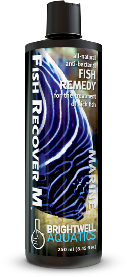 Brightwell Fish Recover M - 250 ml - The Pet Source