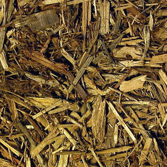 Zoo Med Forest Floor Bedding - 24 qt - The Pet Source
