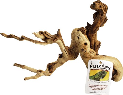 Fluker’s Iguana Branch - Medium - The Pet Source