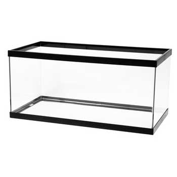 Marineland 40 Gallon Tank Breeder Black 36x18x16 - The Pet Source