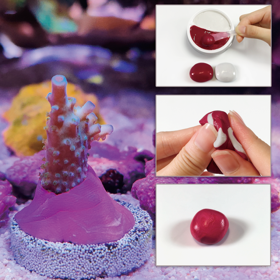 Maxspect Coral Putty - 4.2oz - The Pet Source