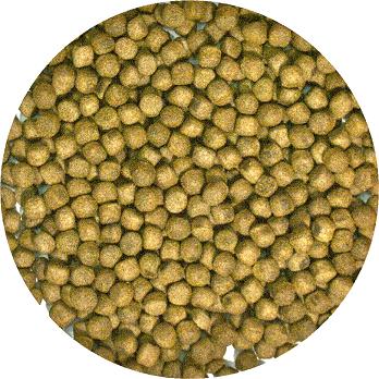 Zoo Med Natural Aquatic Turtle Food - Maintenance Formula 45 oz - The Pet Source