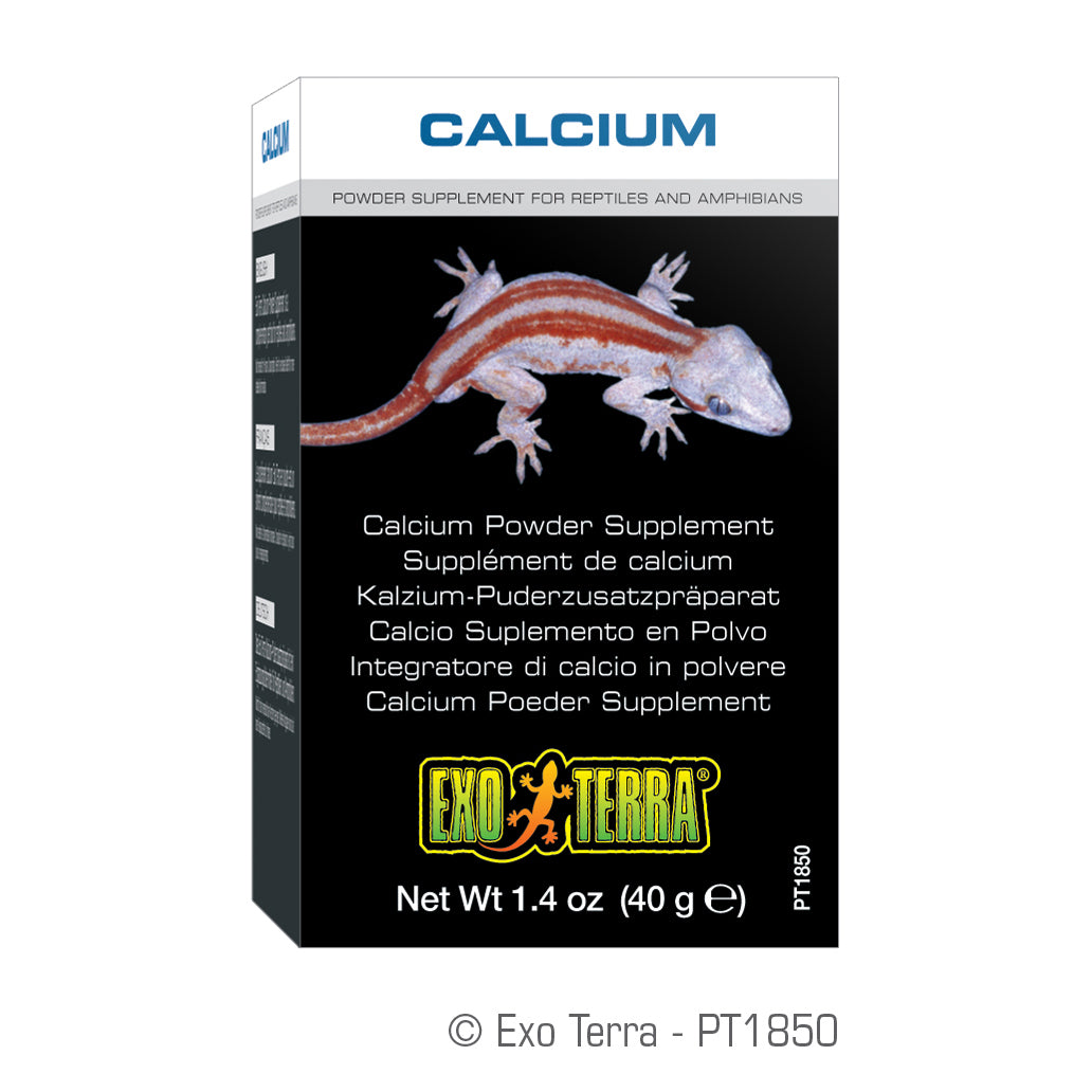 Exo Terra Calcium Powder Supplement - 1.4 oz - 40 g - The Pet Source