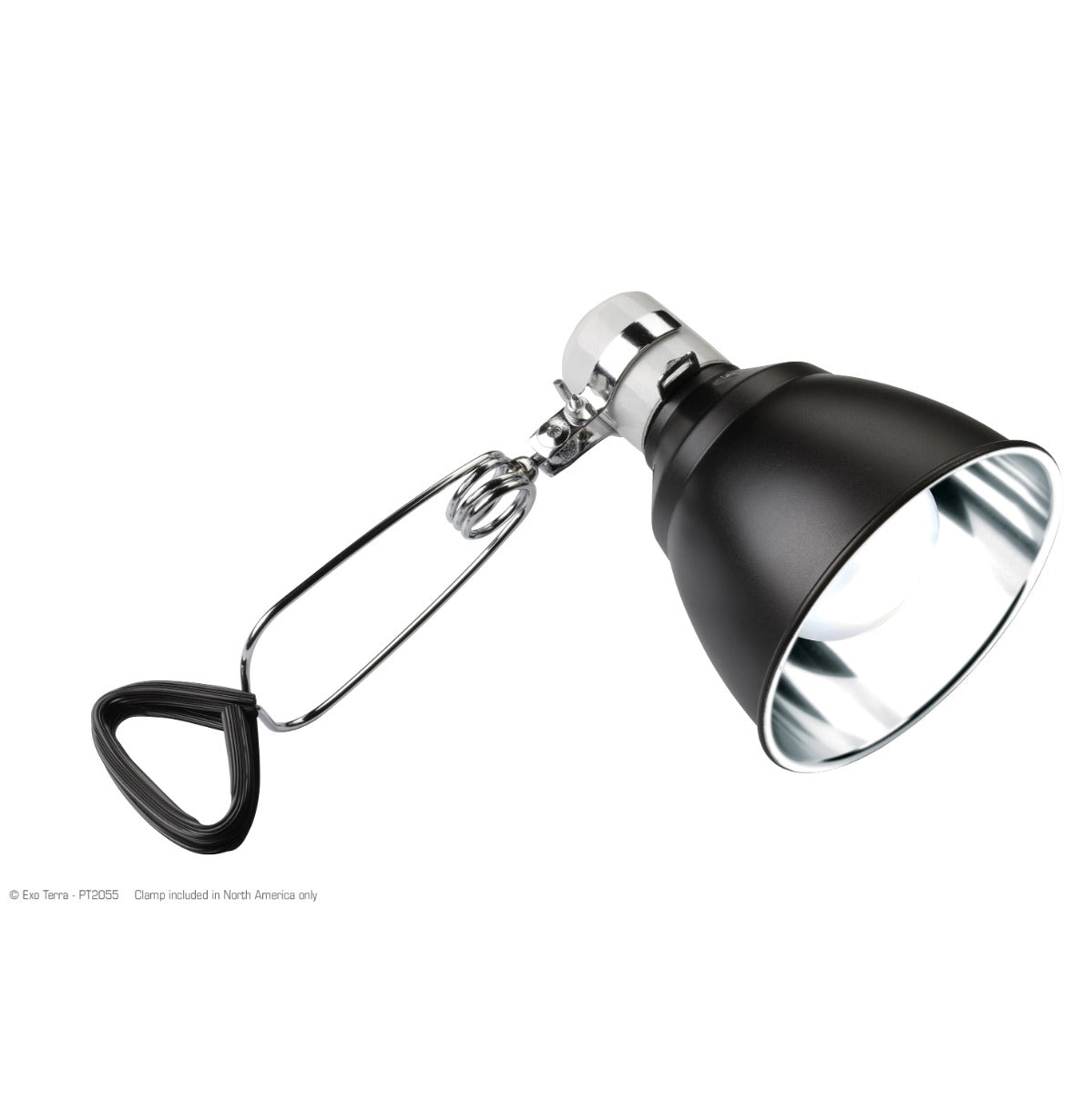 Exo Terra Light Dome - 14 cm (5.5 in) - The Pet Source