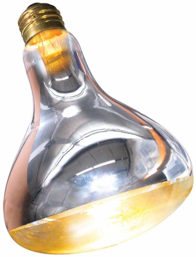 Zoo Med Repti Basking Spot Lamp - 250 W - The Pet Source