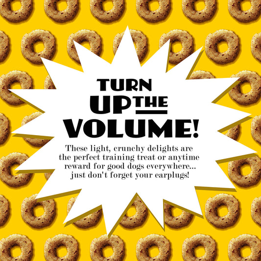 Fromm Blueberry Blasts Flavor Dog Treats - 6oz - The Pet Source