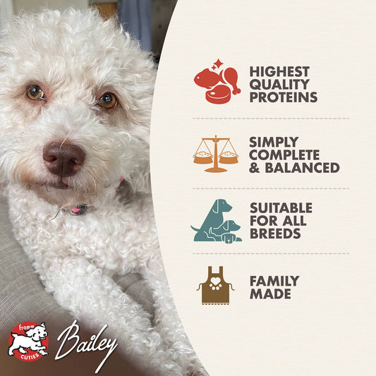 Fromm Adult Chicken & Rice Pâté Wet Dog Food - 12.2oz - The Pet Source